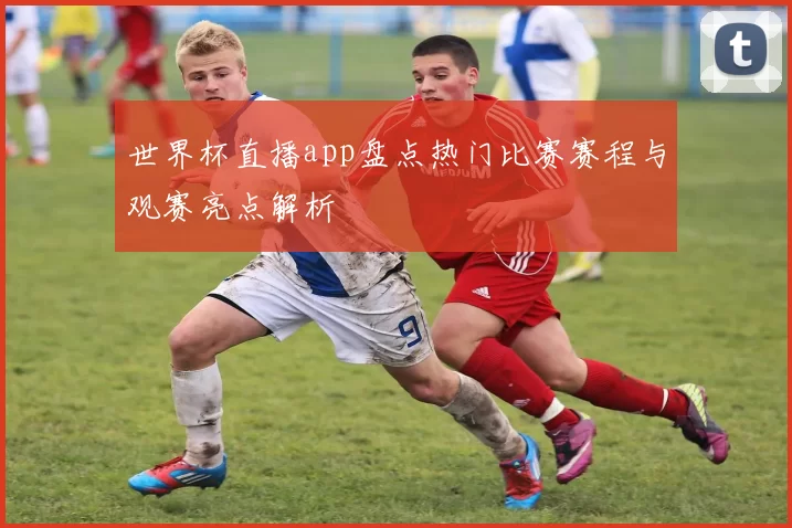 世界杯直播app盘点热门比赛赛程与观赛亮点解析