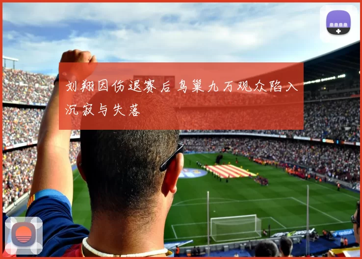 刘翔因伤退赛后鸟巢九万观众陷入沉寂与失落