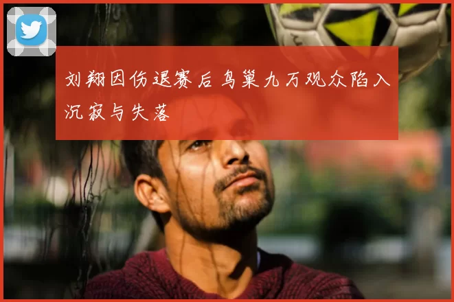 刘翔因伤退赛后鸟巢九万观众陷入沉寂与失落